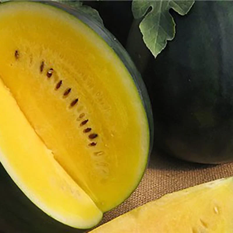 Wassermelone - Janosik