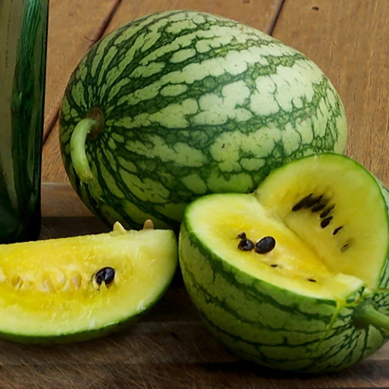 Wassermelone - Petite Yellow
