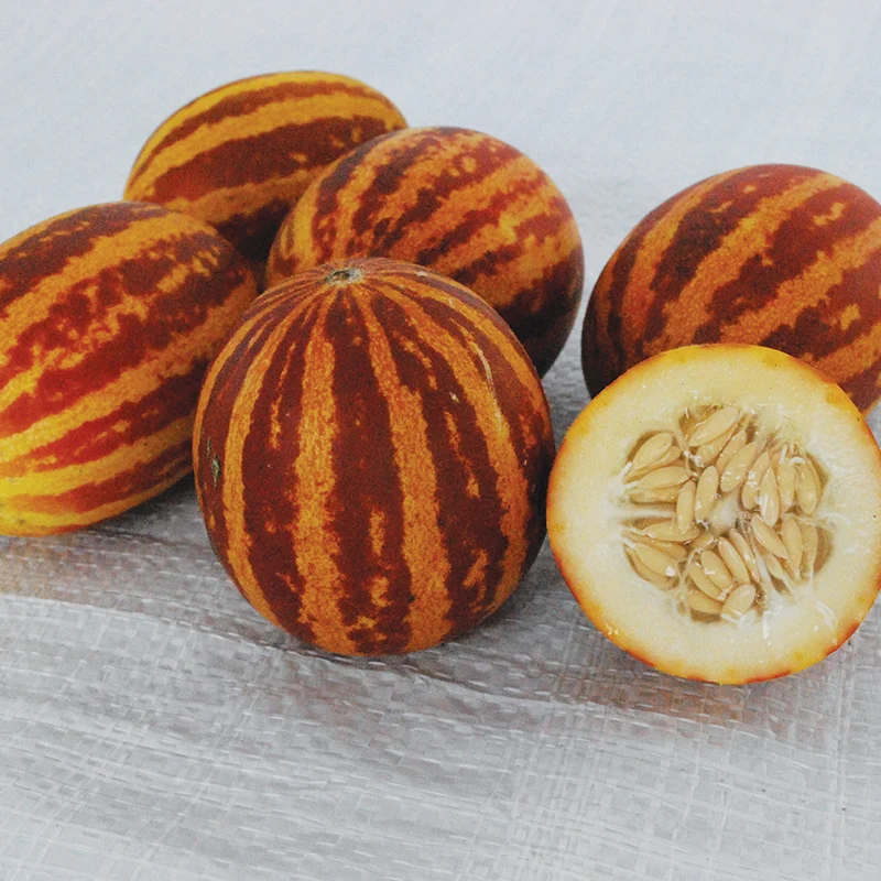 Melone - Rich Sweetness 132