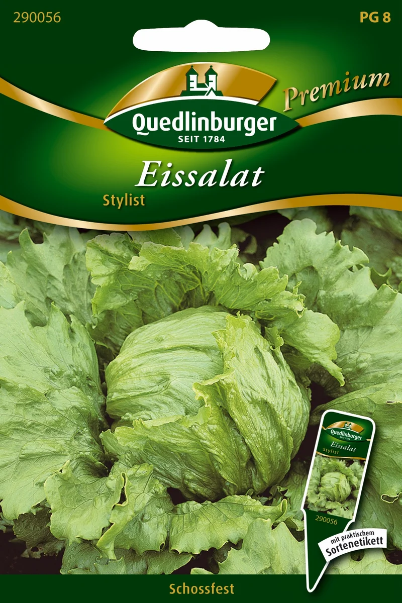Eissalat Stylist Saatgut