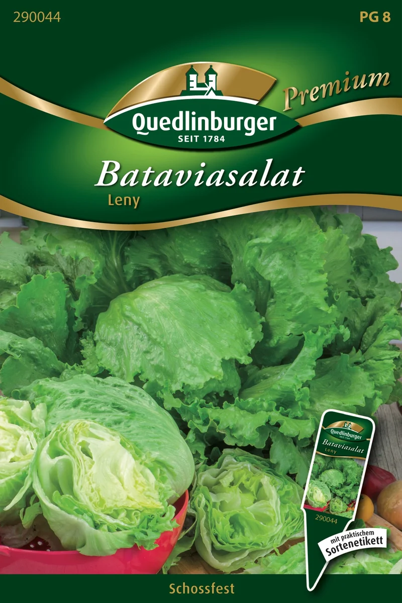 Batavia Salat Leny Saatgut