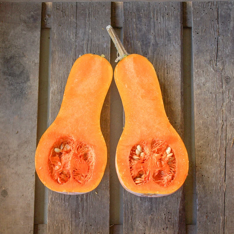 Butternut - Anna