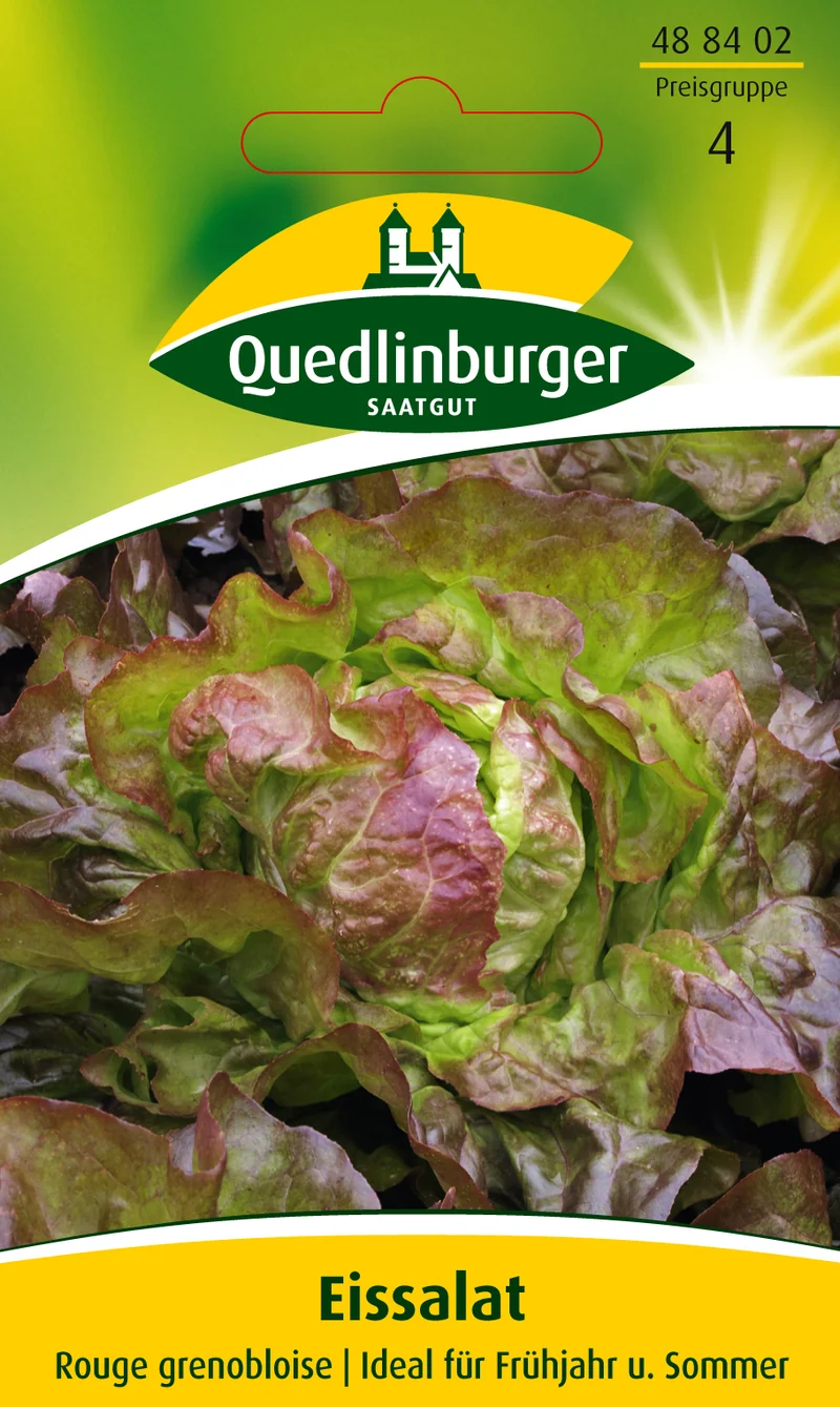 Eissalat Rouge grenobloise Saatgut