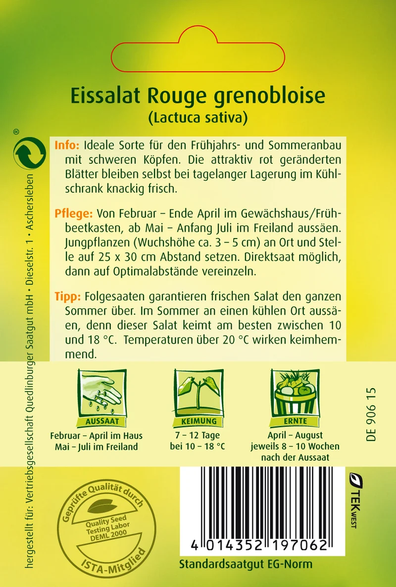 Eissalat Rouge grenobloise Saatgut