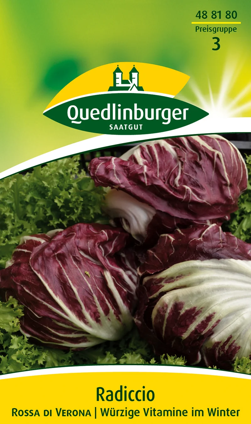 Radicchio Rossa di Verona Saatgut
