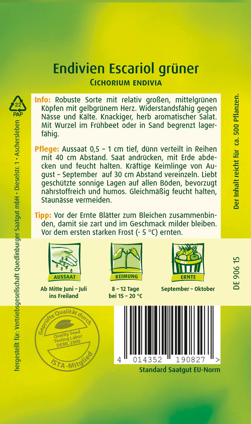 Endivien Escariol Grüner Saatgut