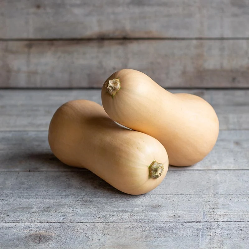 Butternut - Mieluna F1
