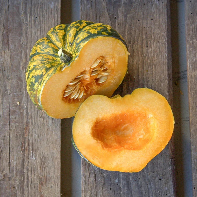 Acorn - Harlequin F1