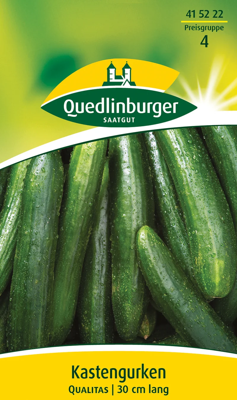 Kasten Gurken Qualitas Saatgut