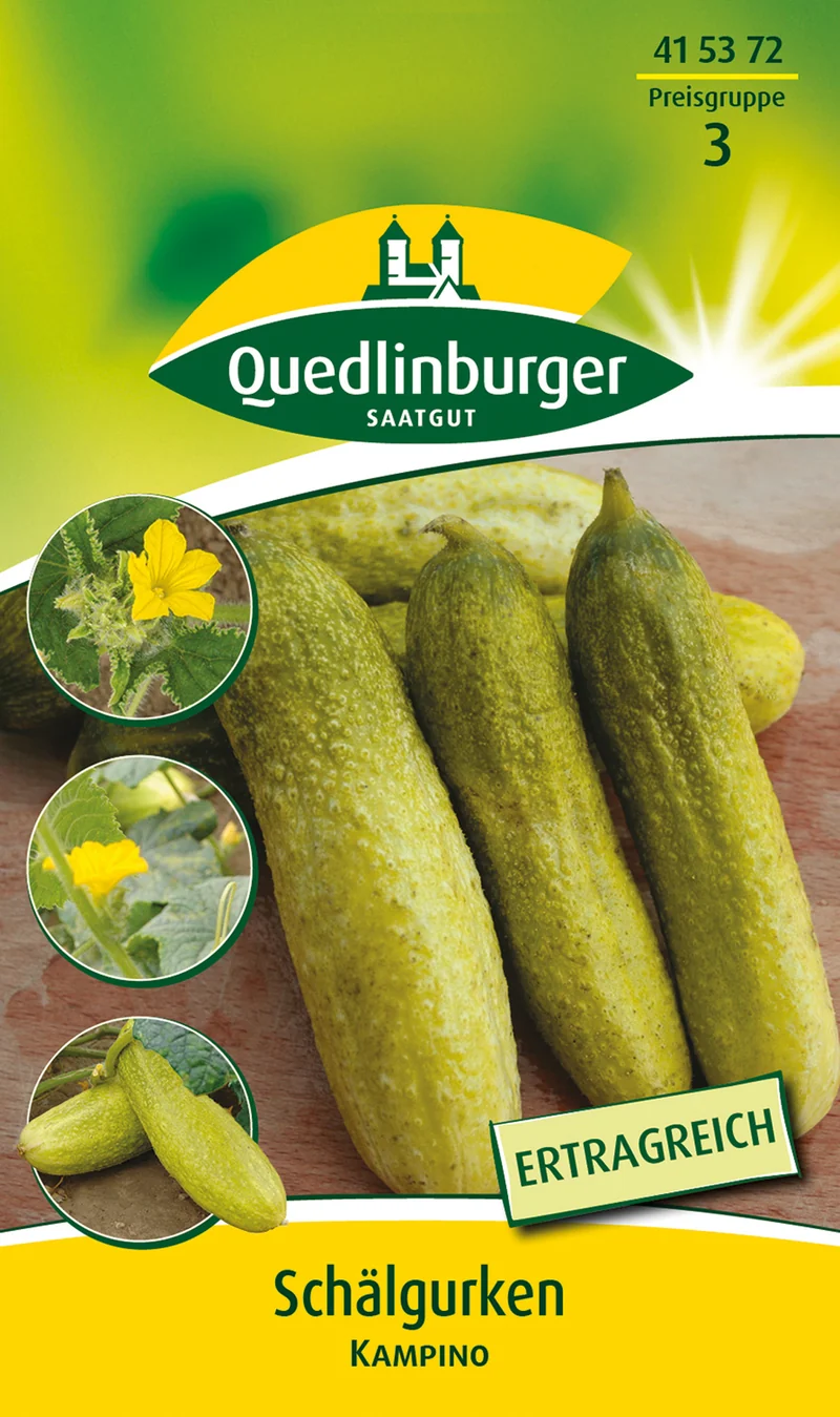 Schäl Gurken Kampino Saatgut