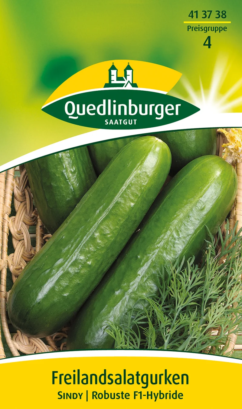 Freilandsalat Gurken Sindy Saatgut