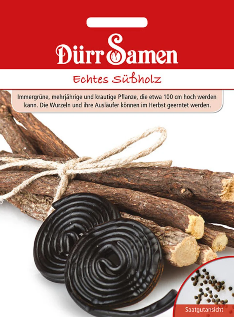 Echtes Süßholz Saatgut