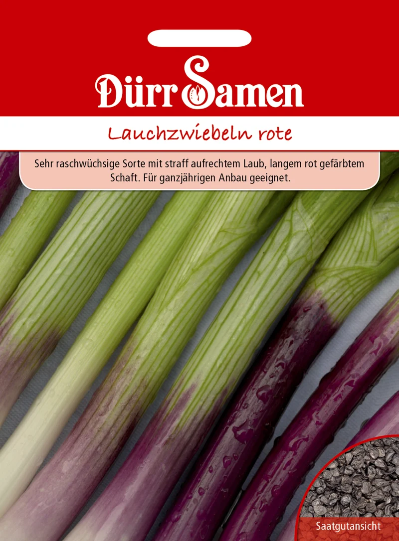 Lauchzwiebel Apache Saatgut