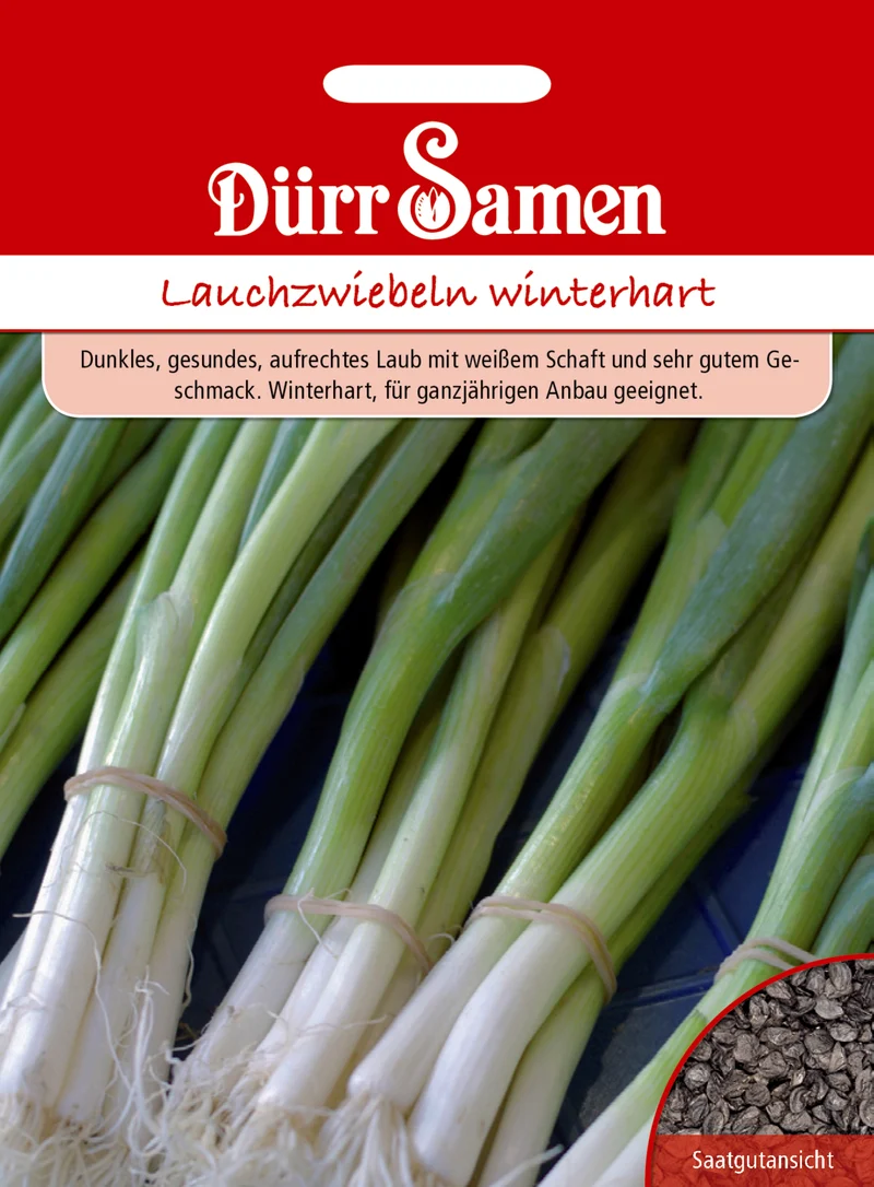 Lauchzwiebel winterhart Saatgut