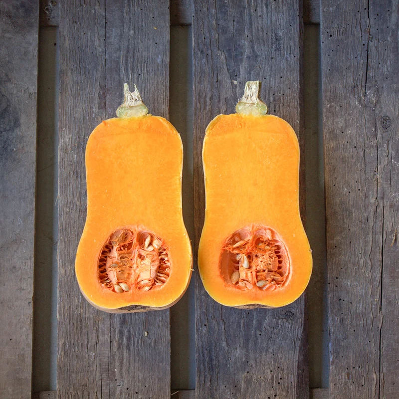 Butternut - Butterscotch F1 - PMR