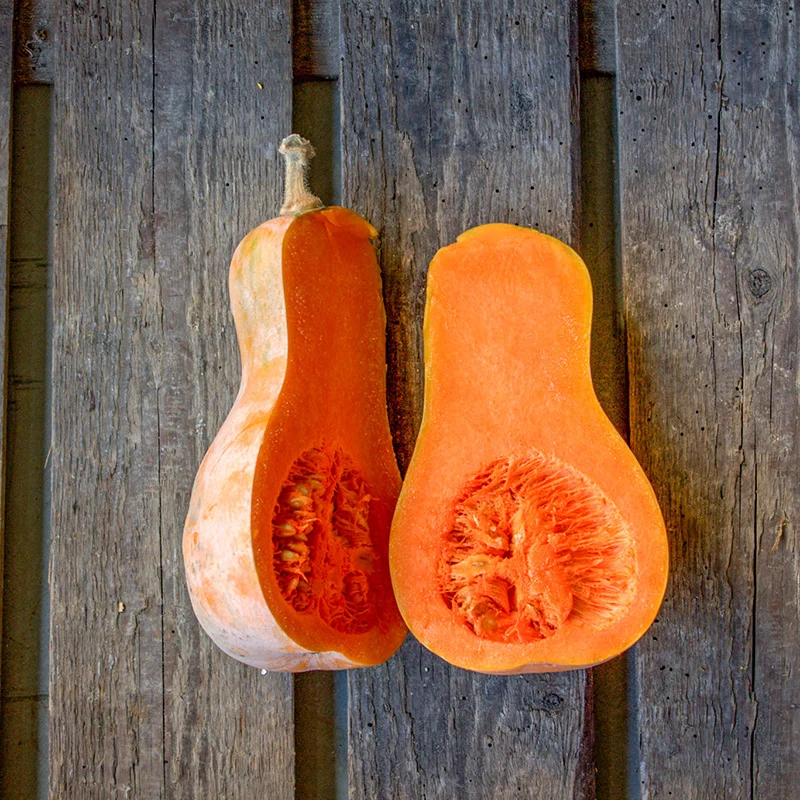Butternut - Betternut 401 F1