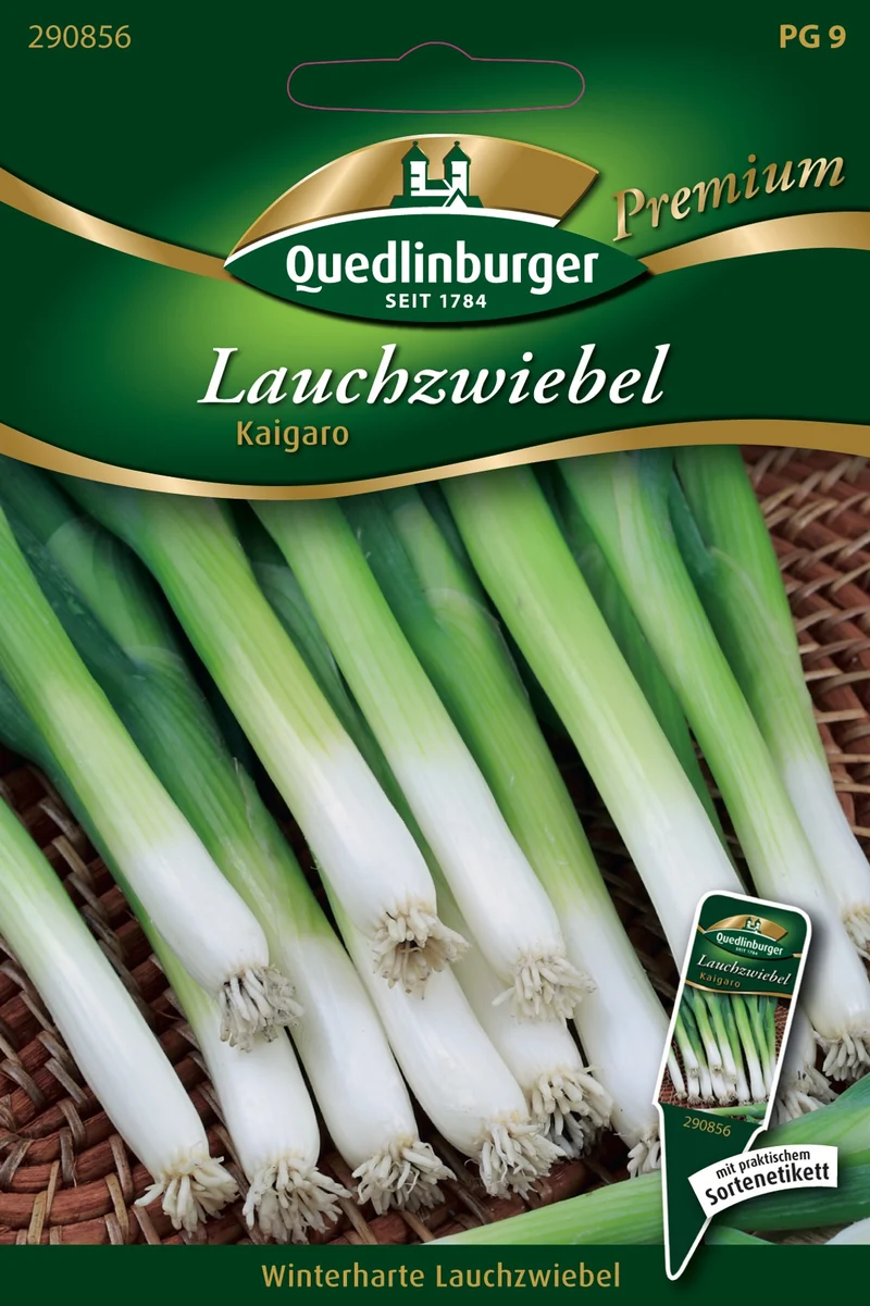 Lauch Zwiebeln Kaigaro Saatgut