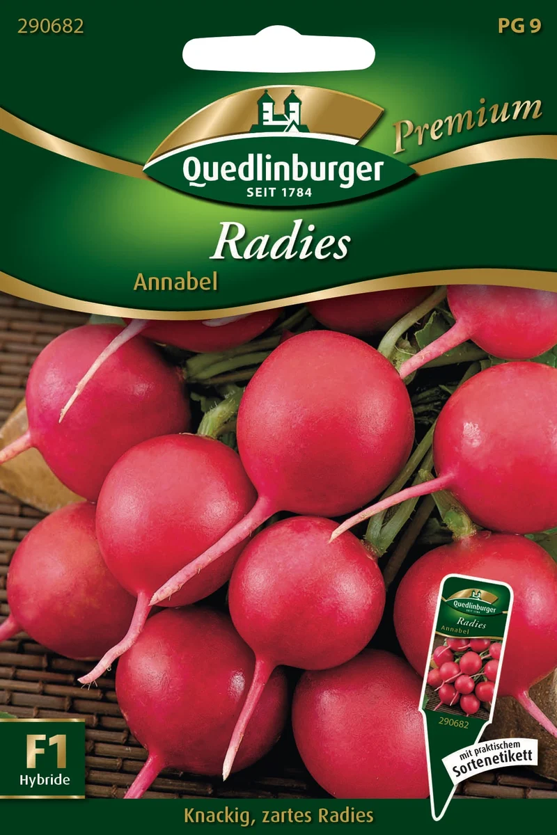 Radieschen Annabel Saatgut