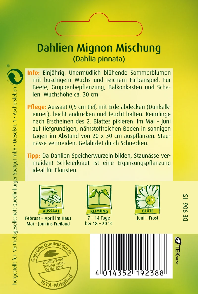 Dahlie Mignon Mischung Saatgut