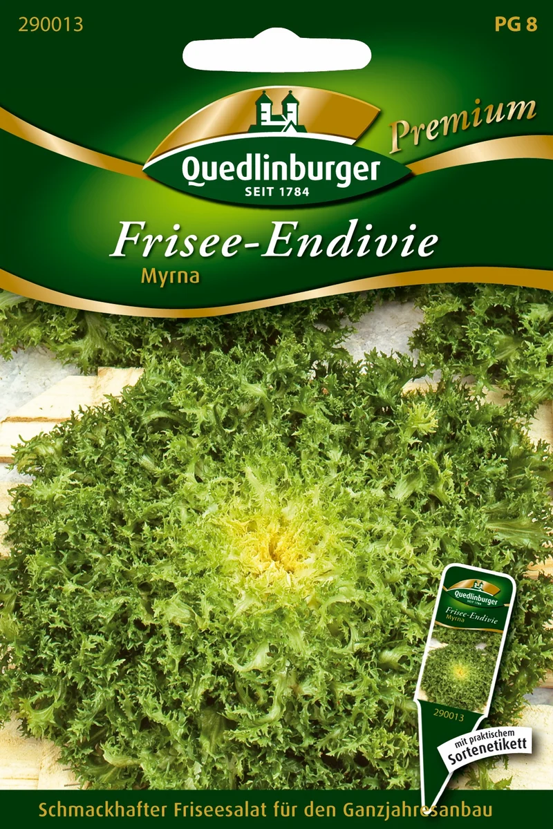 Frisee Endivie Myrna Saatgut