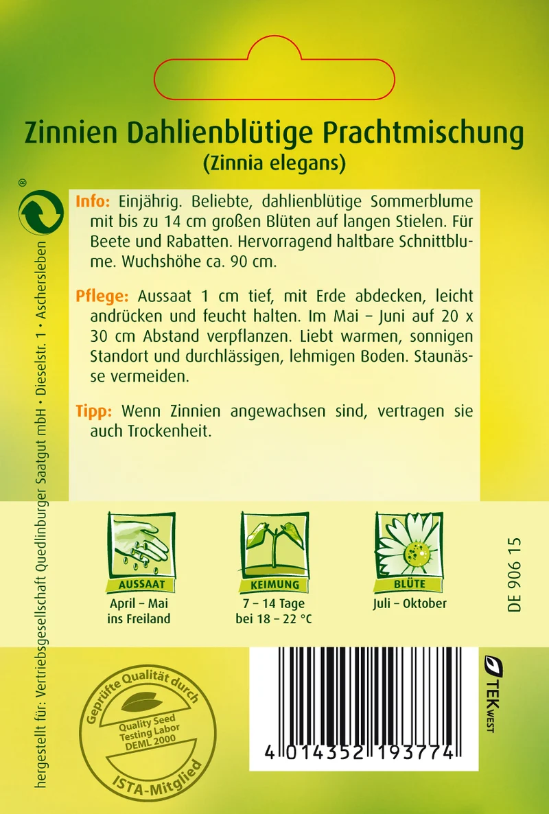 Zinnie Dahlienblütige Mischung Saatgut