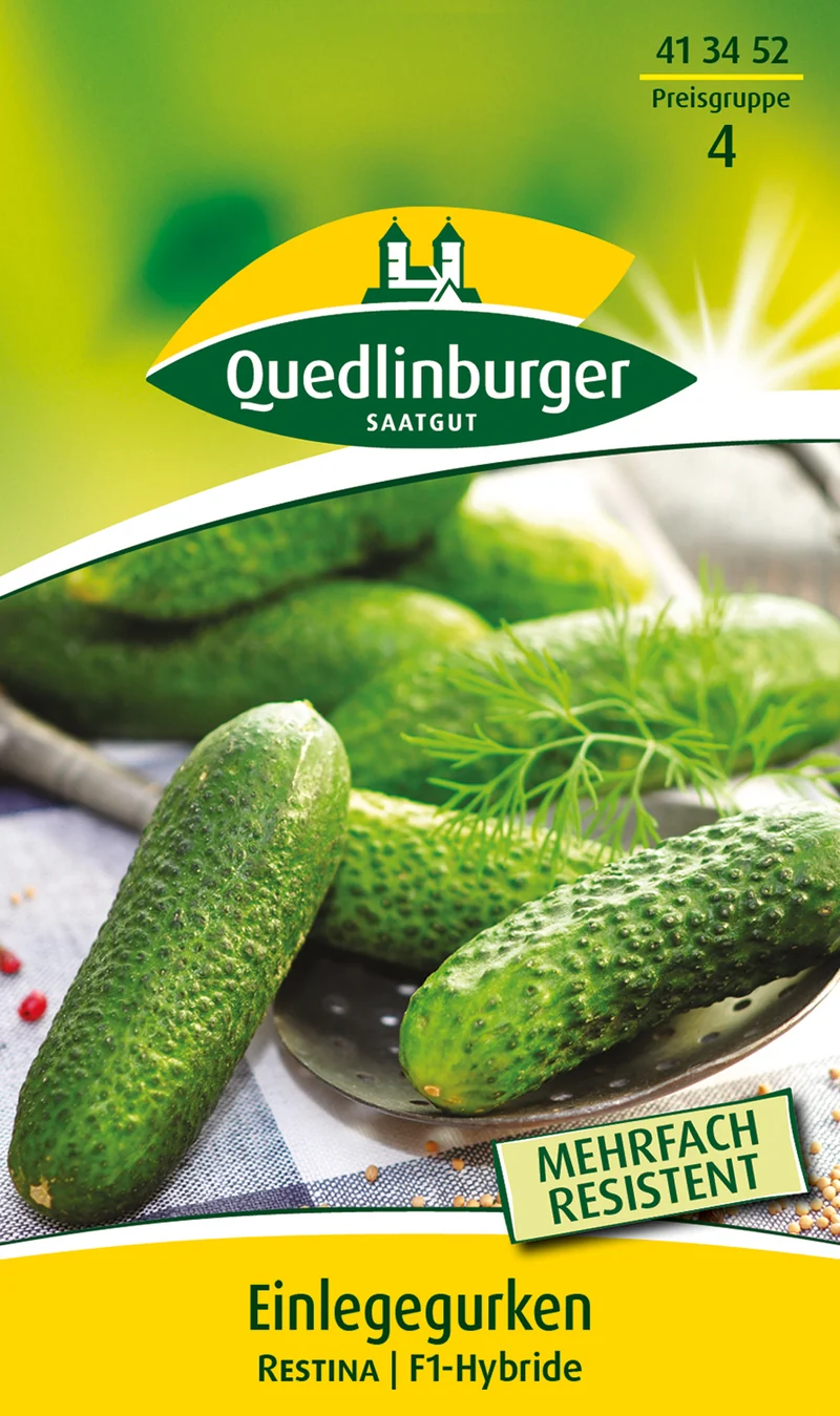 Einlegegurke Restina Saatgut