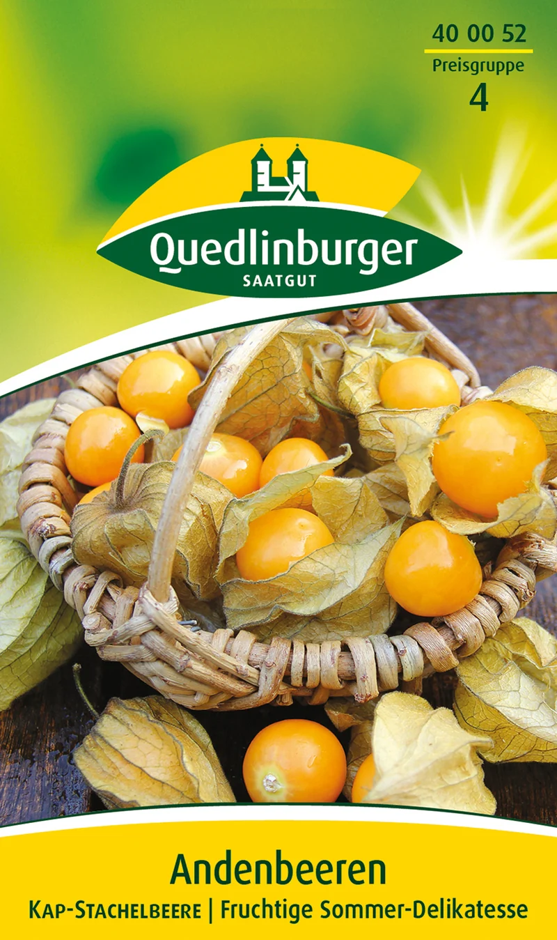 Andenbeeren Kapstachelbeere Saatgut