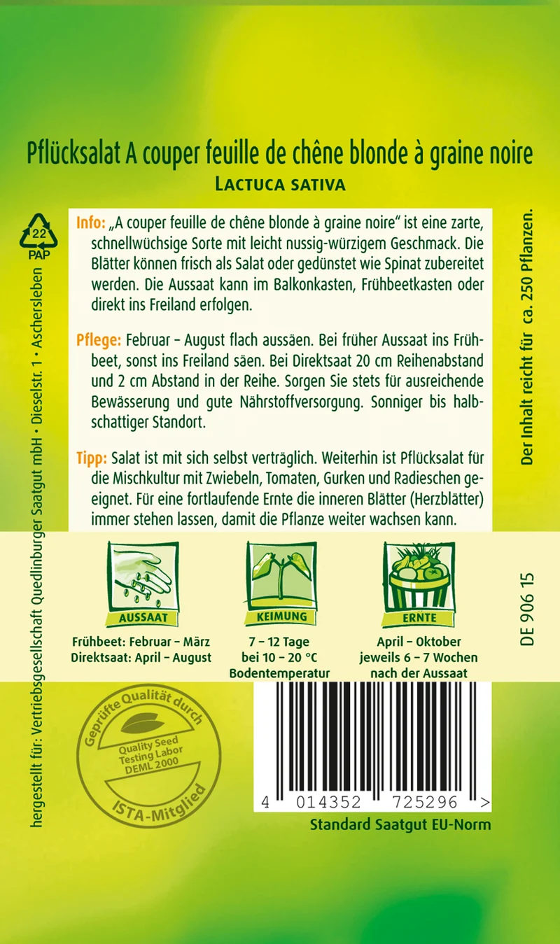 Salat A couper feuille de chen Saatgut