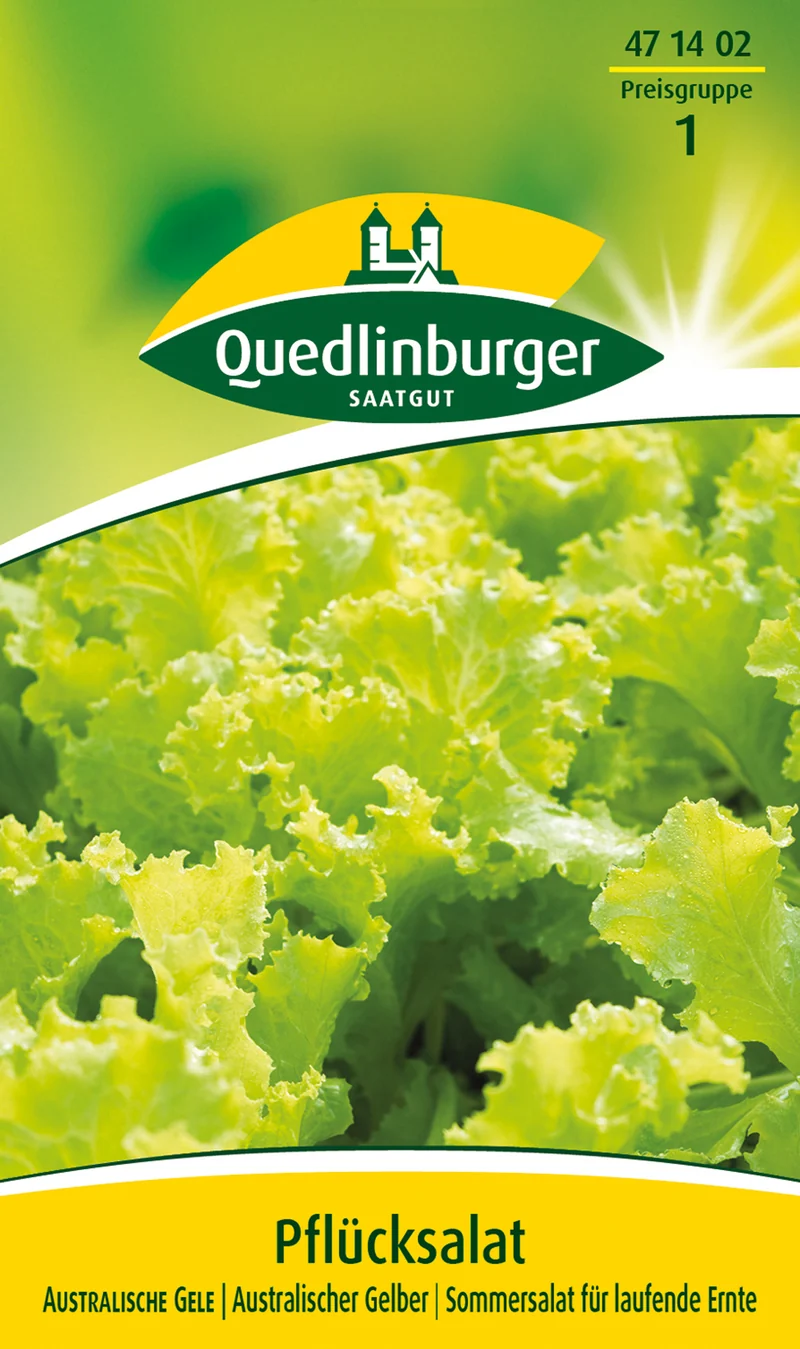 Pflücksalat Australische Gel Saatgut