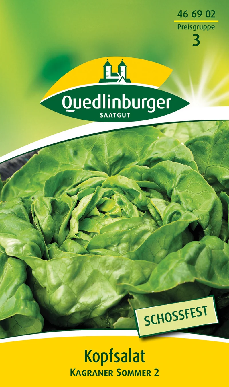 Kopfsalat Kagraner Sommer 2 Saatgut