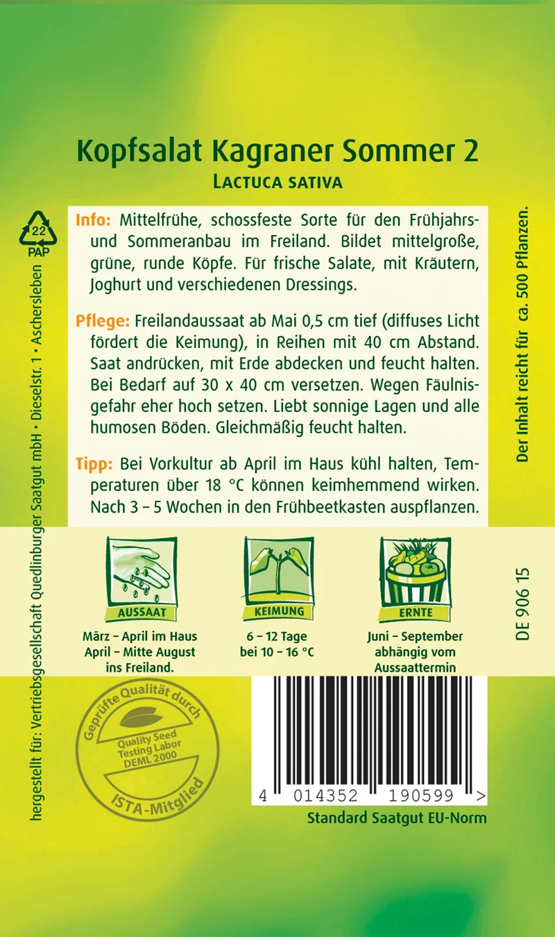 Kopfsalat Kagraner Sommer 2 Saatgut