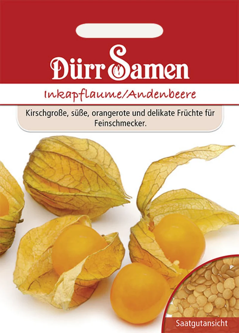 Inkapflaume Andenbeere Saatgut