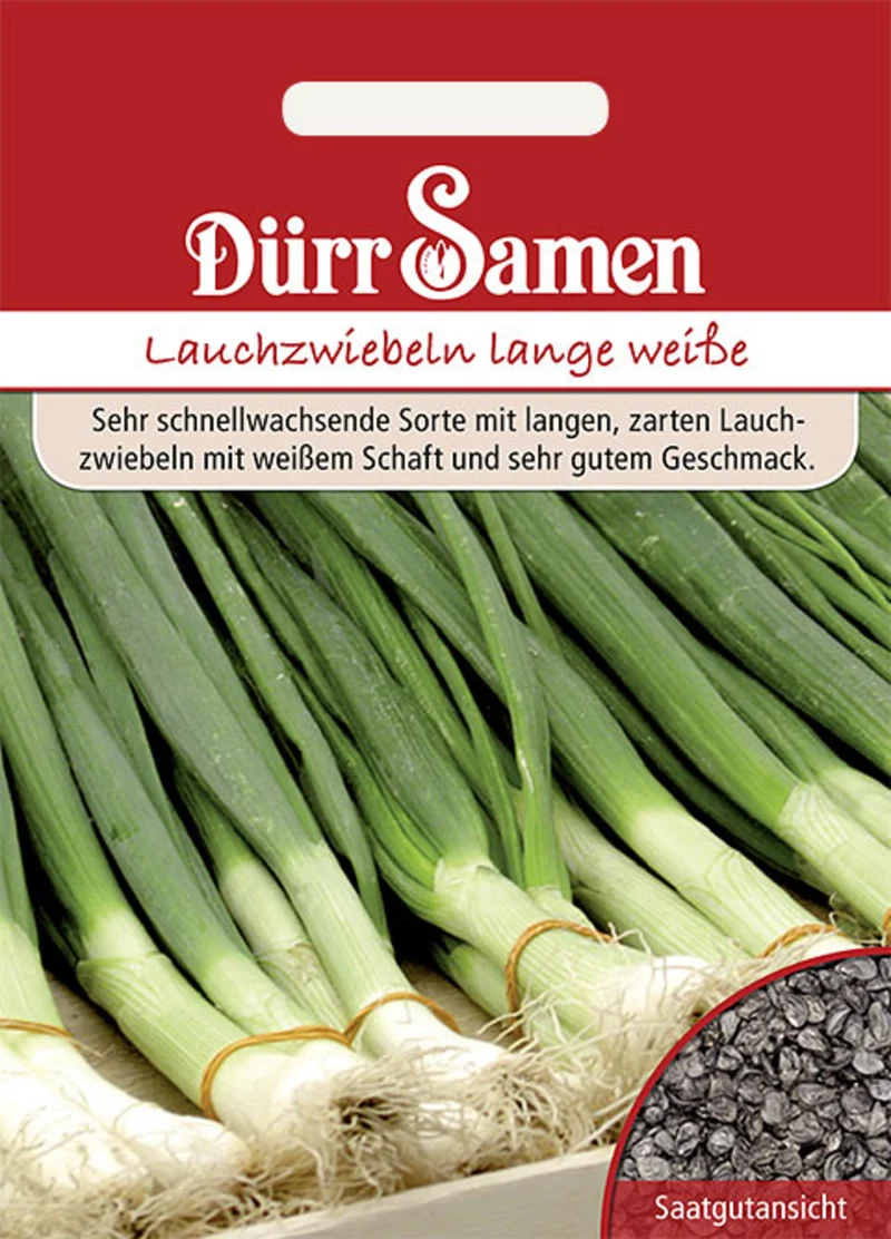 Lauchzwiebel Lange Weiße Kaigaroo Saatgut