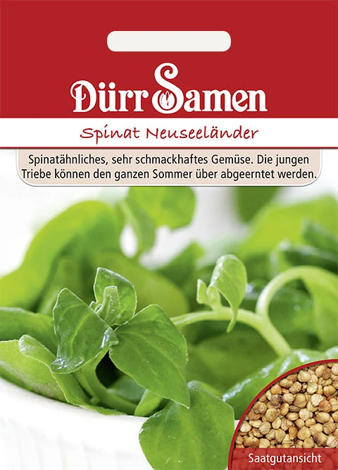 Spinat Neuseeländer Tetragonia tetragoinoides Saatgut