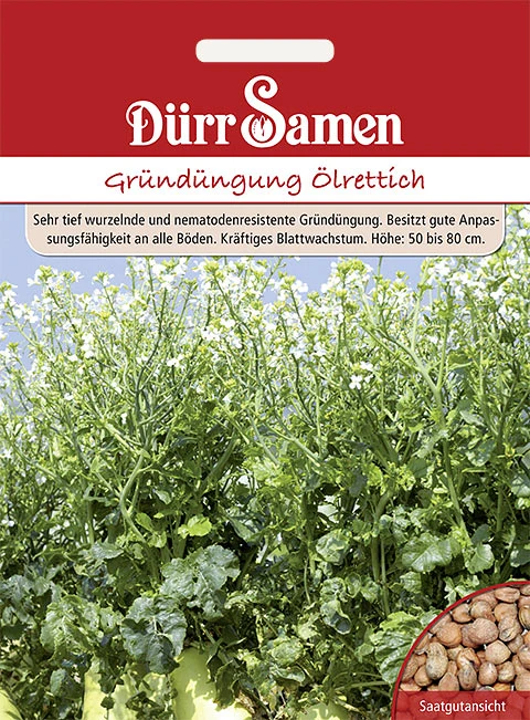 Gründüngung Ölrettich 1 kg Saatgut