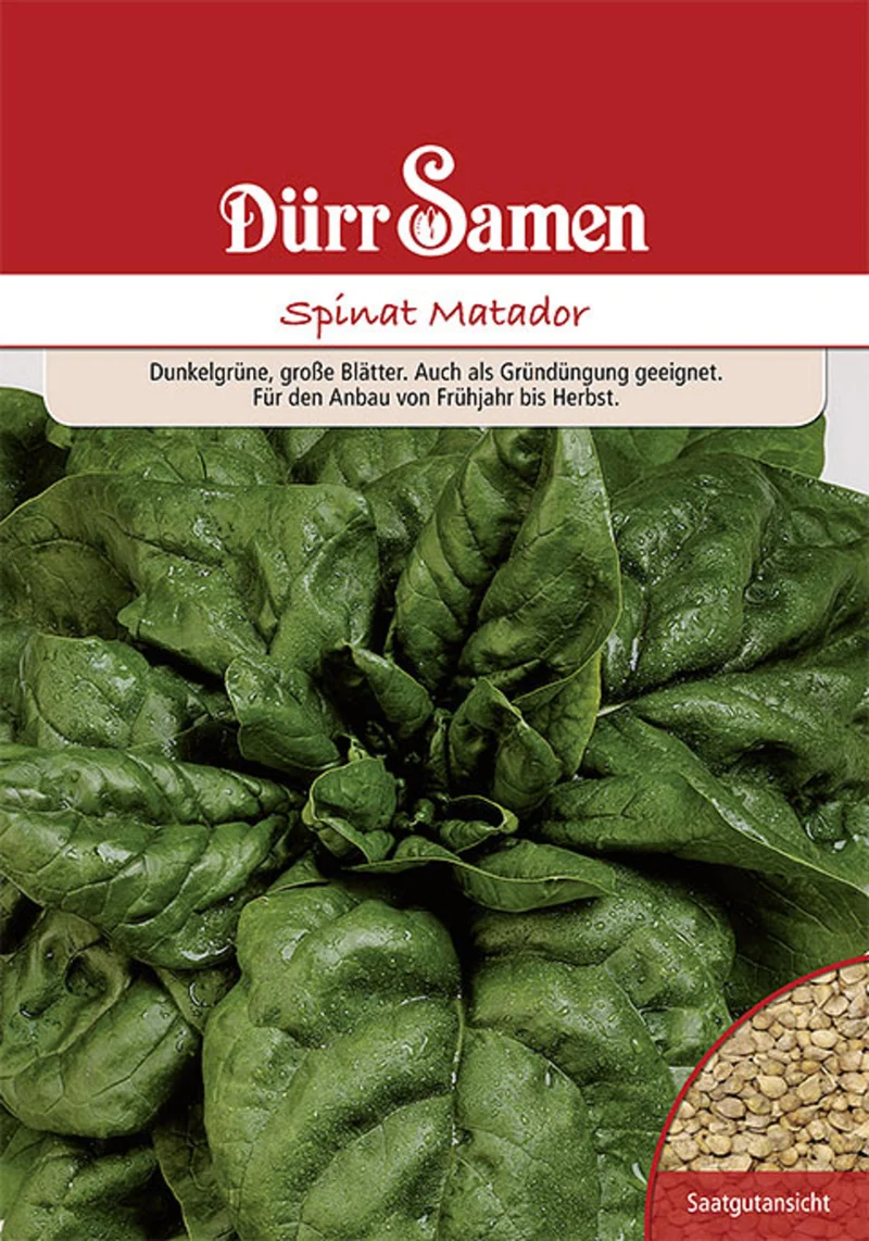 Gründüngung Spinat Matador 250 g Saatgut