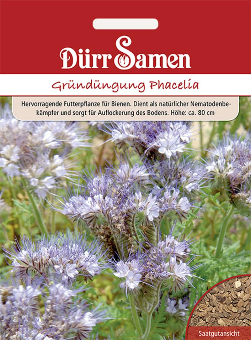 Gründüngung Phacelia Bienenfreund 400 g Saatgut