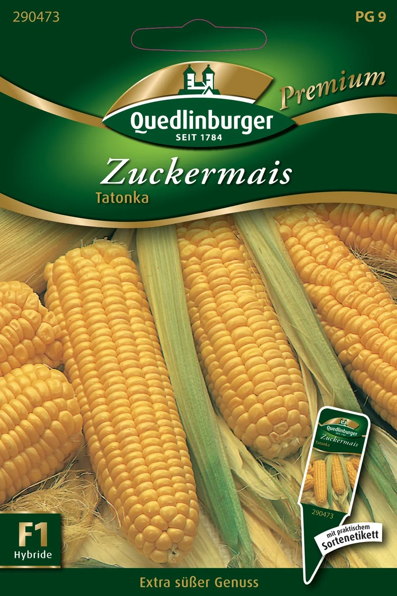 Zuckermais Tatonka Saatgut