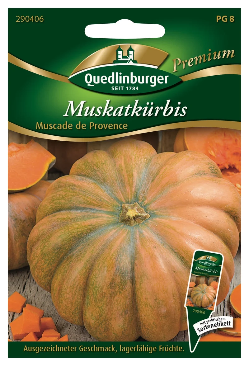 Muskat Kürbis Muscade de Prov Saatgut