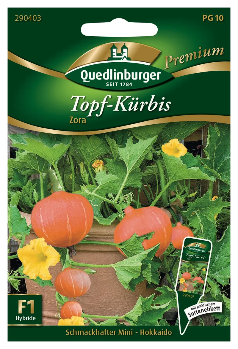 Kürbis Topf Mini Hokkaido Zora Saatgut