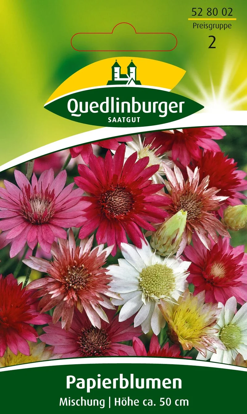 Papierblume Mischung Saatgut