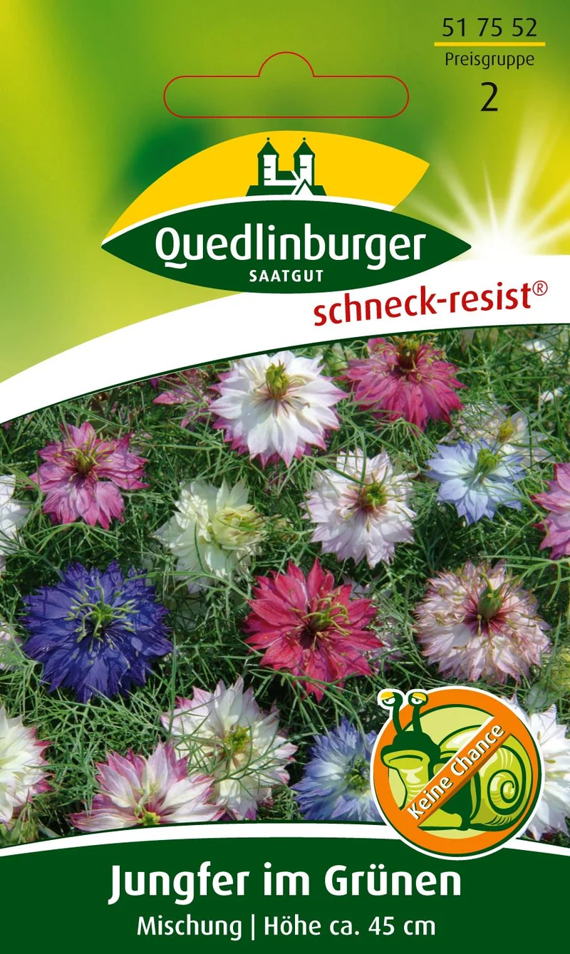 Jungfer im Grünen Mischung Saatgut