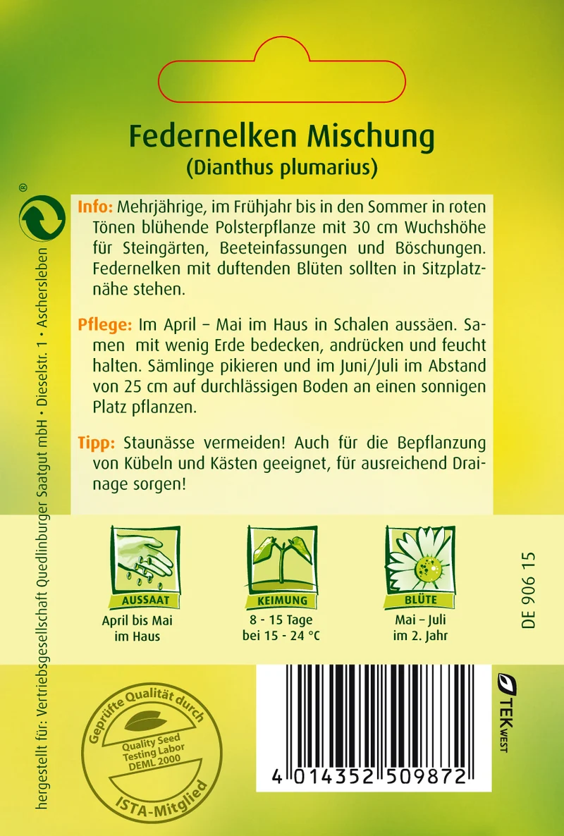 Feder Nelken Mischung Saatgut