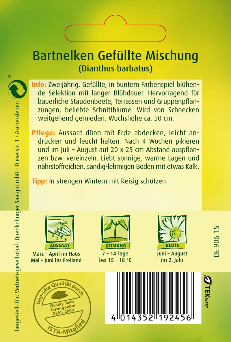 Bart Nelken Gefüllte Mischung Saatgut