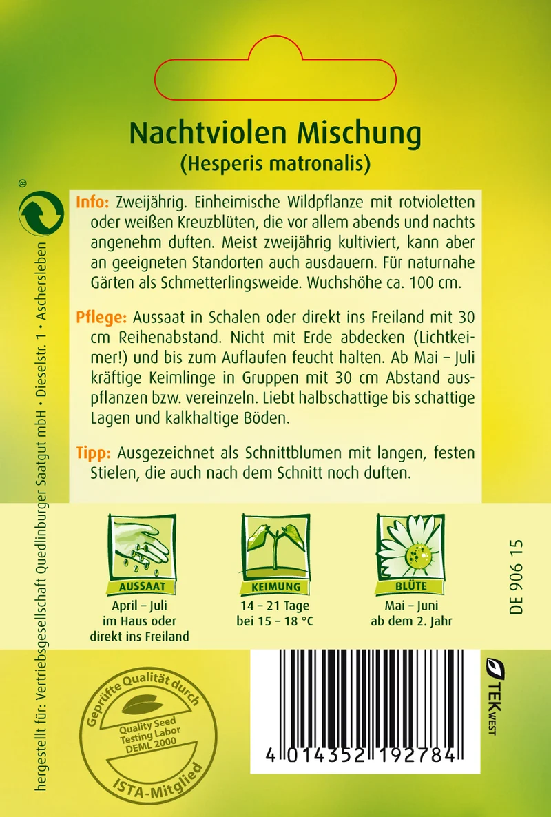 Nachtviole Mischung Saatgut
