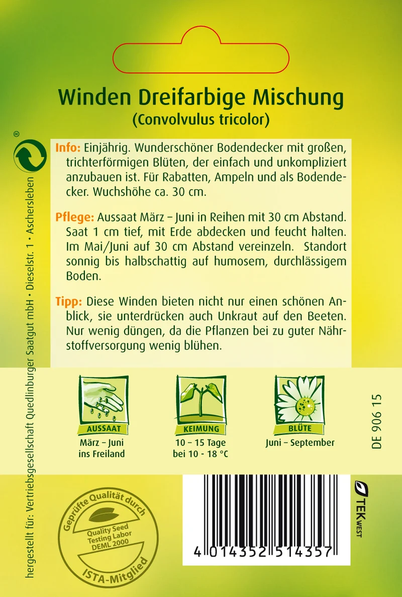 Winde dreifarbige Mischung Saatgut