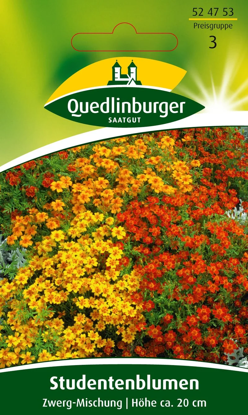 Zwerg Studentenblumen Mischung Saatgut