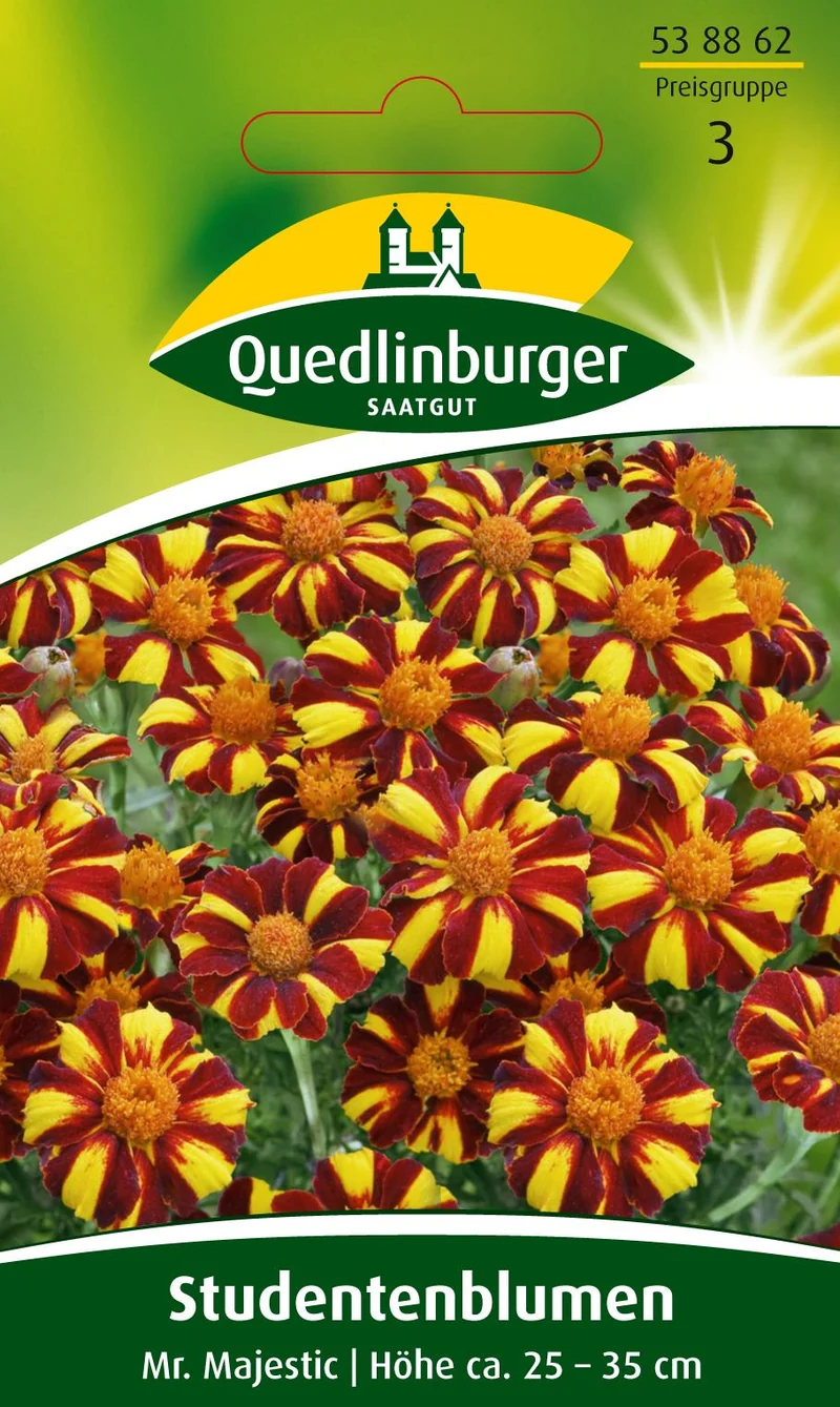 Studentenblume Mr Majestic Saatgut