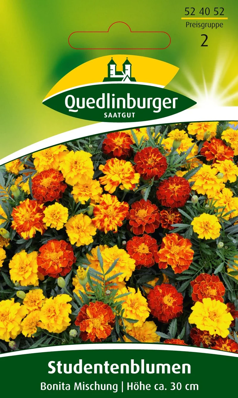 Studentenblume Bonita Saatgut