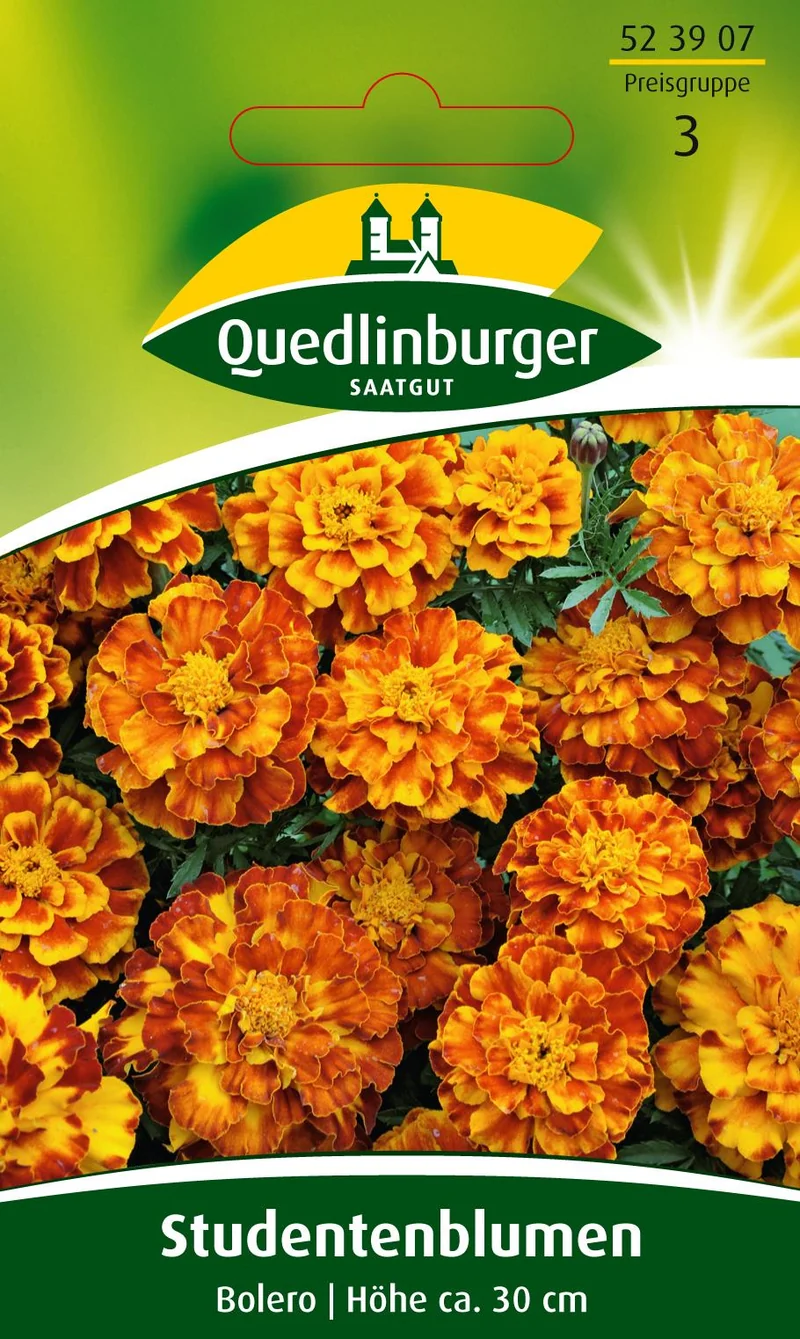 Studentenblume Bolero Saatgut